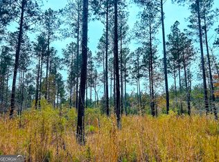 592 Andrew Caldwell Rd TRACT 2A, Lexington, GA 30648