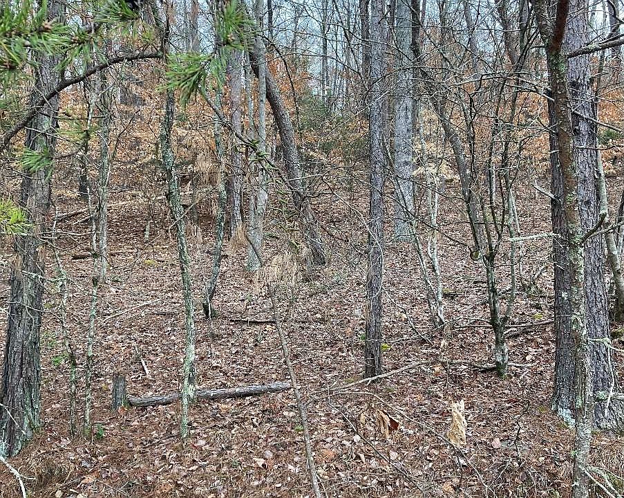 1st image of 0 Old Highway 64w