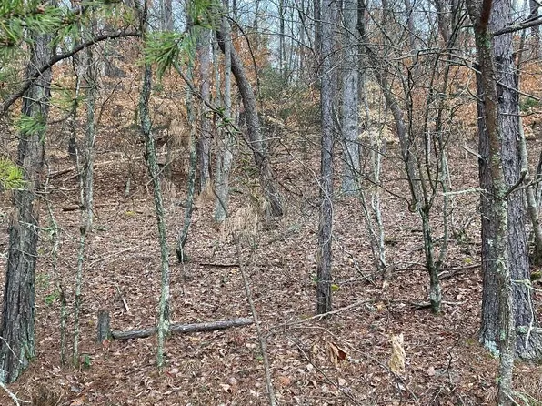 0 Old Highway 64w, Warne, NC 28909