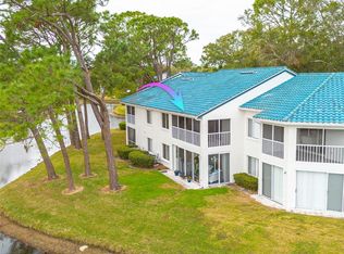 3609 Indigo Pond Dr, Palm Harbor, FL 34685