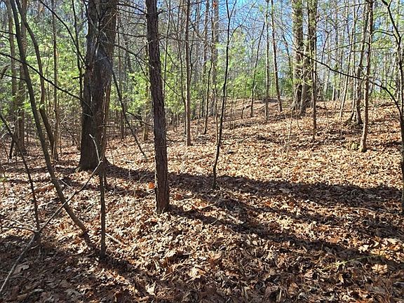 3rd image of 12 Oak Loop