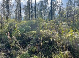 Ao Road Rd #2-LOT 2785, Mountain View, HI 96771