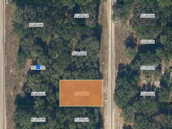 Guy Avenue Lot #24, Interlachen, FL 32148