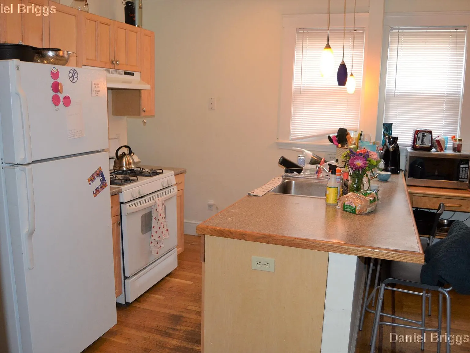3 bed, 1.0 bath, $3,450 — Photo 4