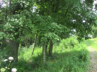 Chow Ln, Ellijay, GA 30540