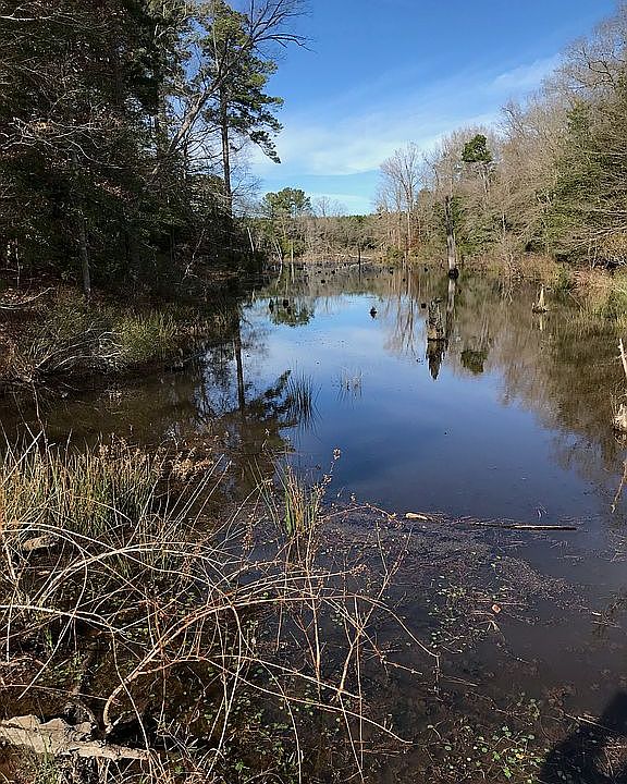 1st image of 1095 County Road 1581