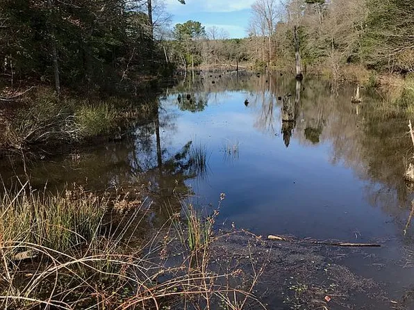 1095 County Road 1581, Avinger, TX 75630