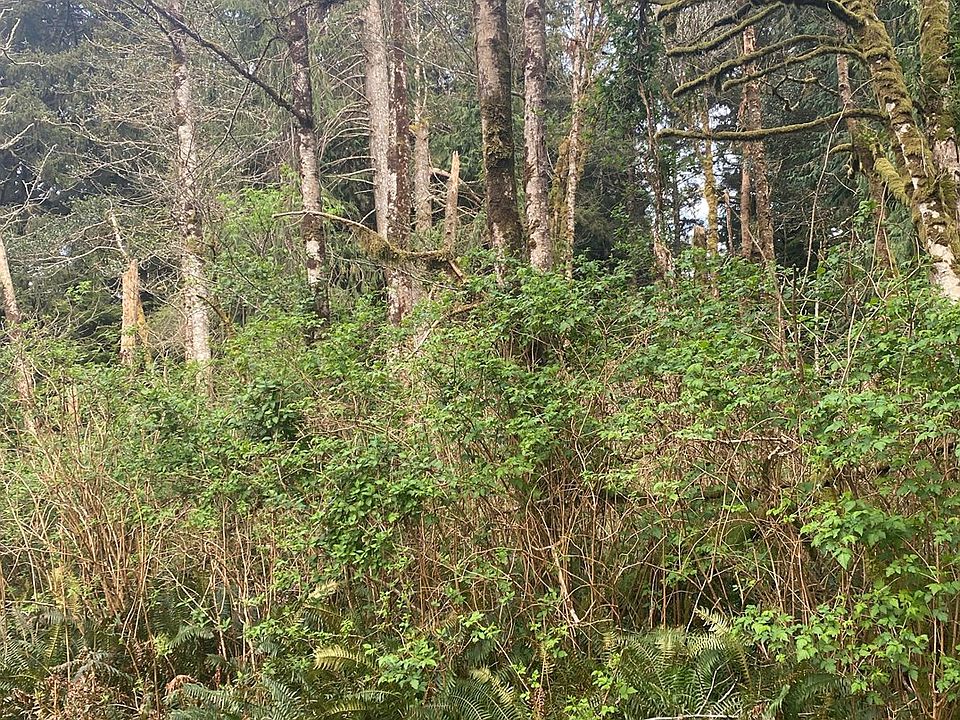 1st image of 1000 SE 54th Dr
