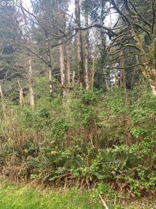 1000 SE 54th Dr, Lincoln City, OR, 97367
