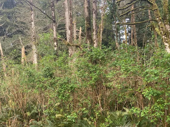1000 SE 54th Dr, Lincoln City, OR 97367