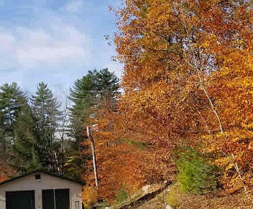 2nd image of 36 Rainbow Dr