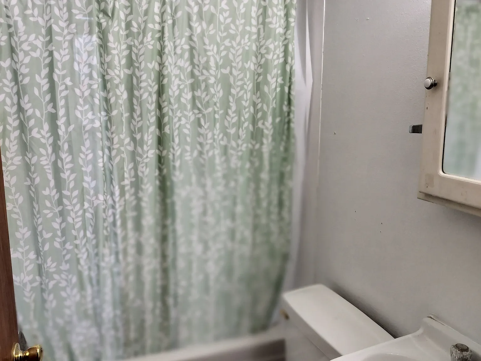 1 bed, 500 sqft, $600 — Photo 4