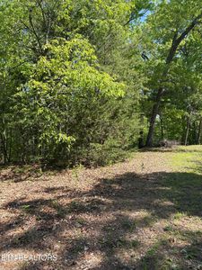 261 Mountain Retreat Rd, Townsend, TN, 37882
