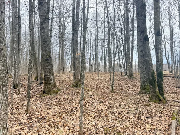 Lot 3 County Highway X, Glen Flora, WI 54526