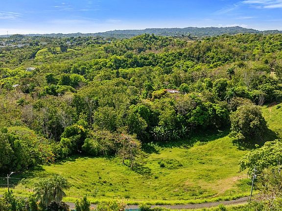 2nd image of Bo Rio Grande Carr 115 16.4 Solar #A