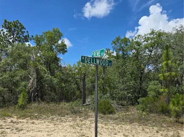 2942 W Dellwood St, Citrus Springs, FL 34433
