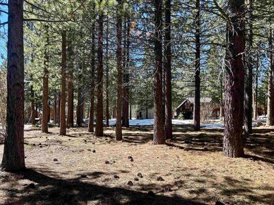 14963 Wolfgang Rd, Truckee, CA, 96161