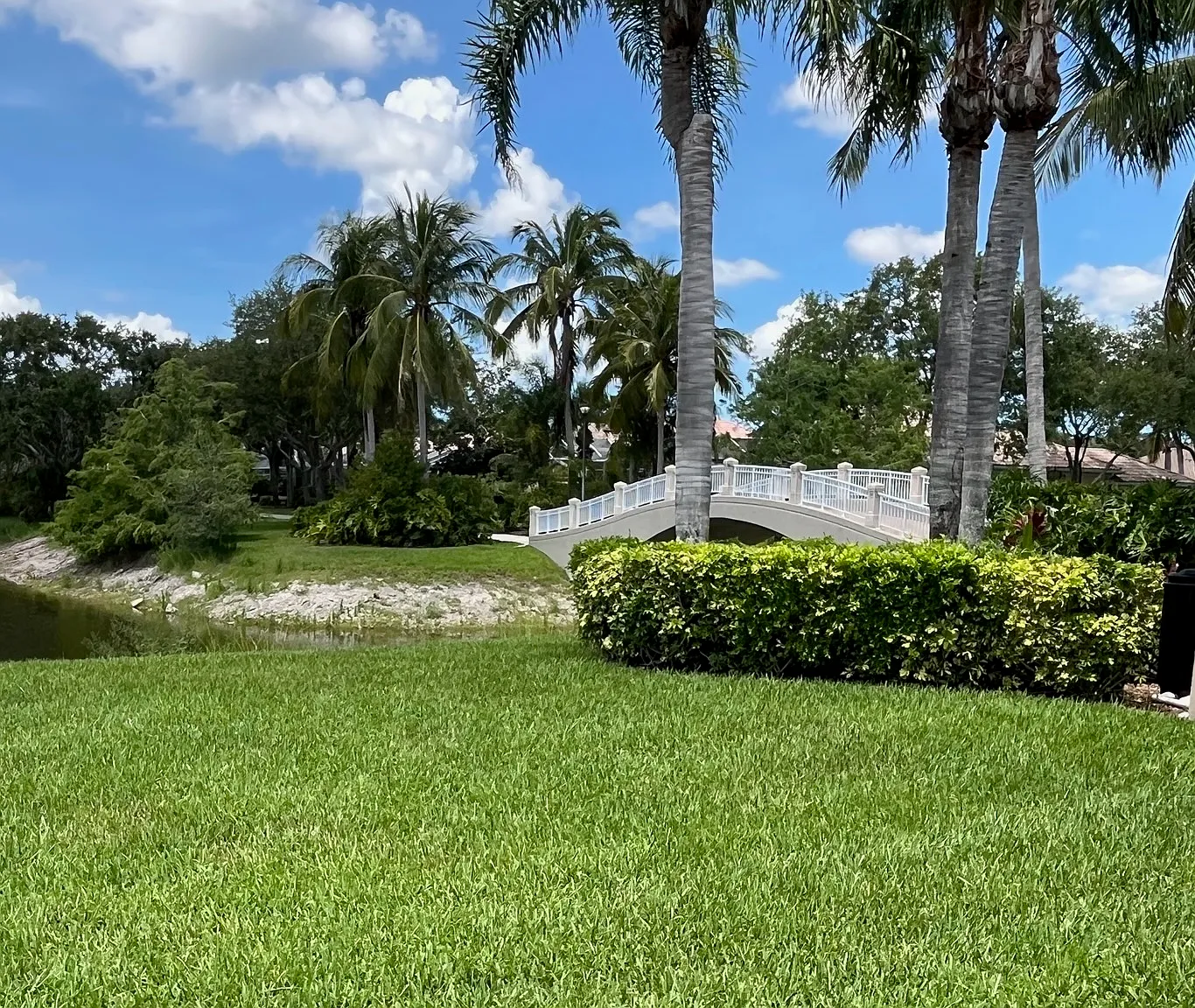 15521 Fan Tail Circle — Photo 4