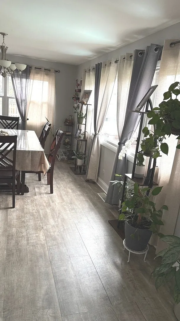 3 bed, 1.5 bath, 1575 sqft, $3,000 — Photo 4