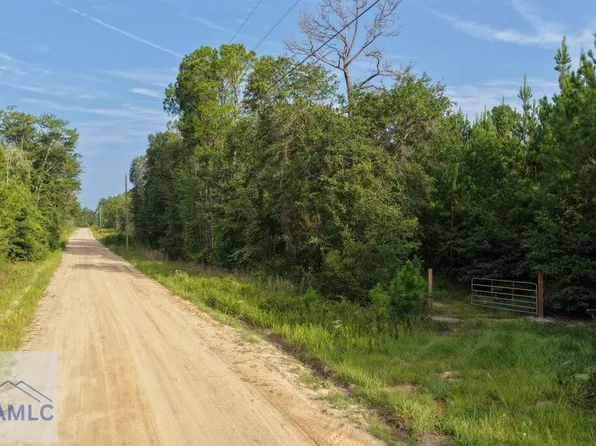 1 Ed Harrell Rd, Hortense, GA 31543