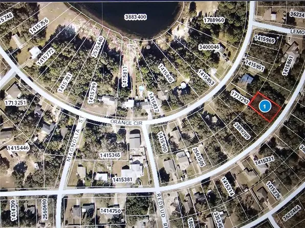 PALM STREET LOT 5, LADY LAKE, FL 32159