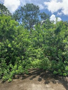 11350 Six Ls Farm RD, Naples, FL, 34114