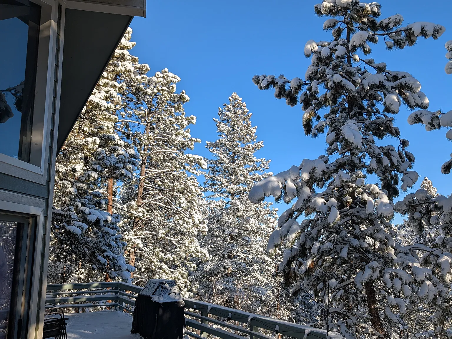 Stiles Dr, Evergreen — Photo 3