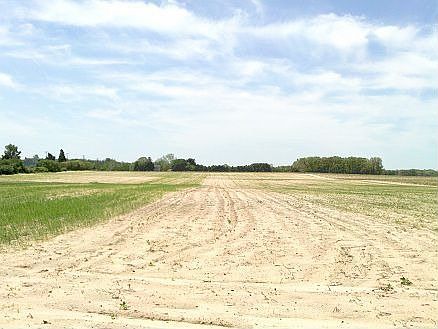 Field View