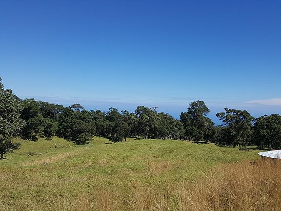 2nd image of LOT 19 C
