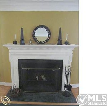 NATURAL FIREPLACE