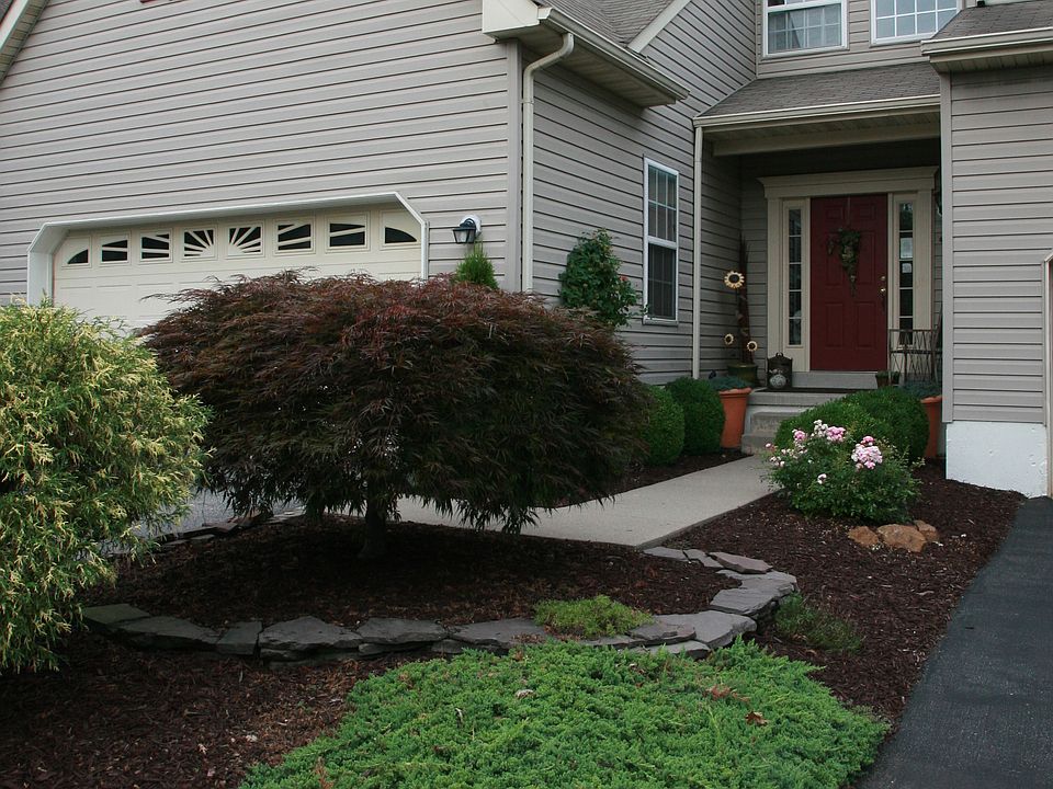 Easy to maintain yard