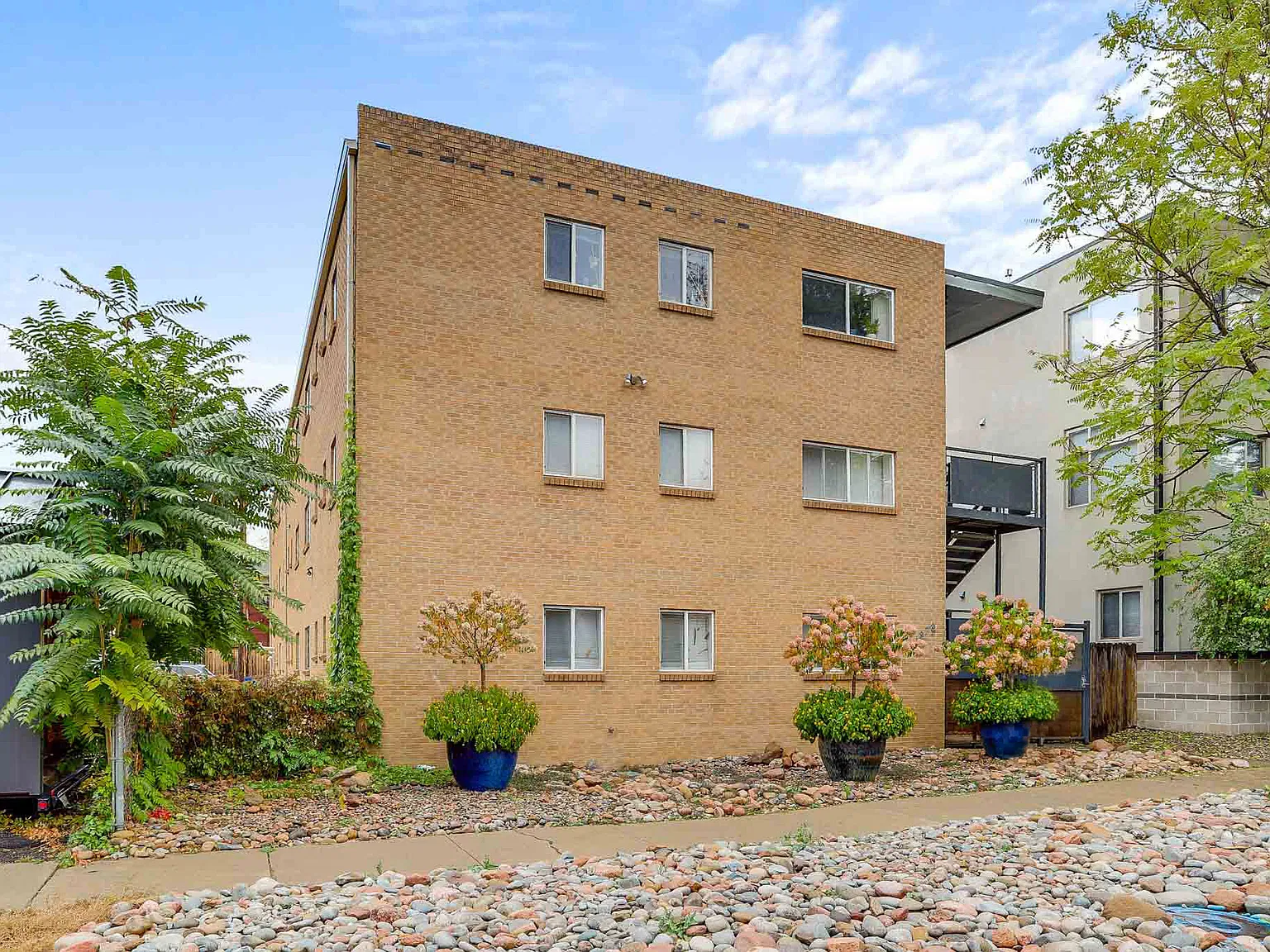 Vine Apartments — Photo 3