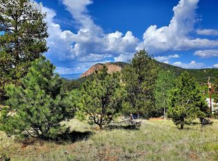 132 Midday Cir, Cripple Creek, CO 80813
