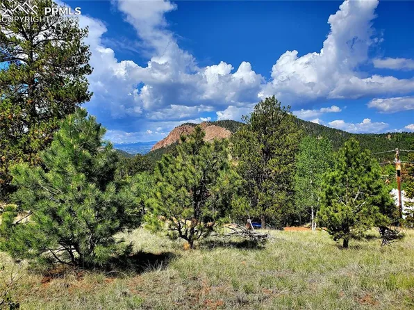 132 Midday Cir, Cripple Creek, CO 80813