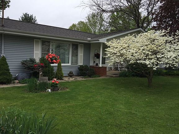 Dogwood in full bloom