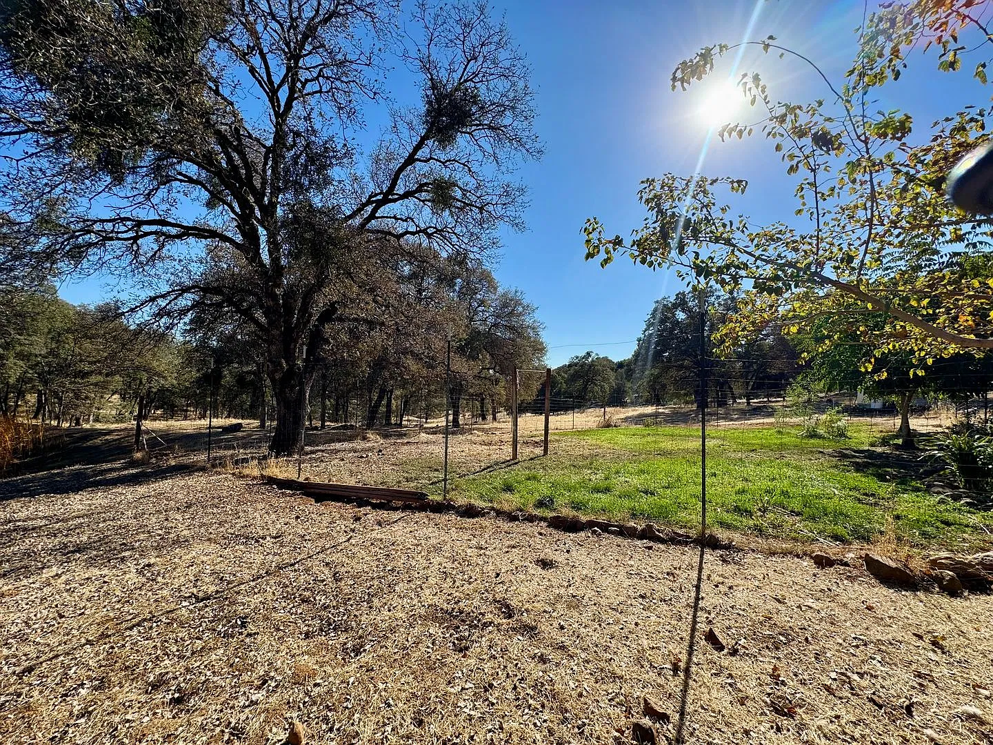 1 bed, 1.0 bath, 1000 sqft, $1,750 — Photo 3