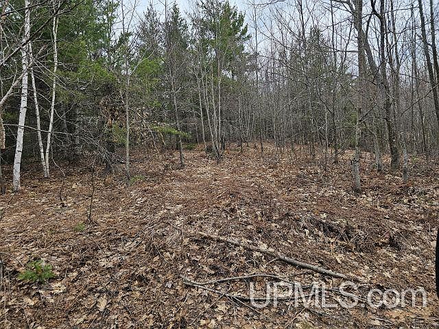1st image of 40 Acres Off Co Rd