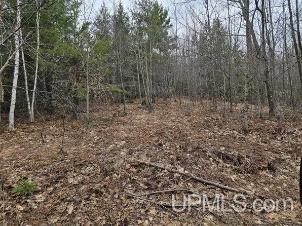 40 Acres Off Co Rd, Ishpeming, MI 49849