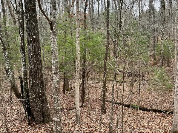 230 Saint George Dr, Crossville, TN 38558