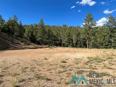 Vega View Rd, Chama, NM, 87520