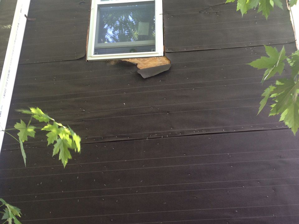 1st image of 1531 W Bristol St
