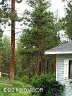 side view between house and garage
