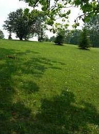 5th image of 7700 Us Highway 40 NE