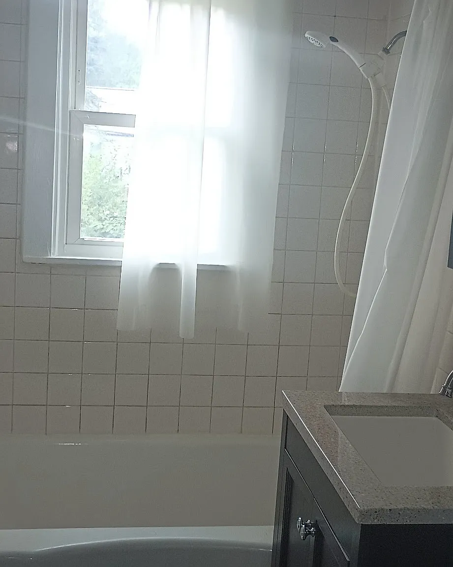 1 bed, 350 sqft, $900 — Photo 3