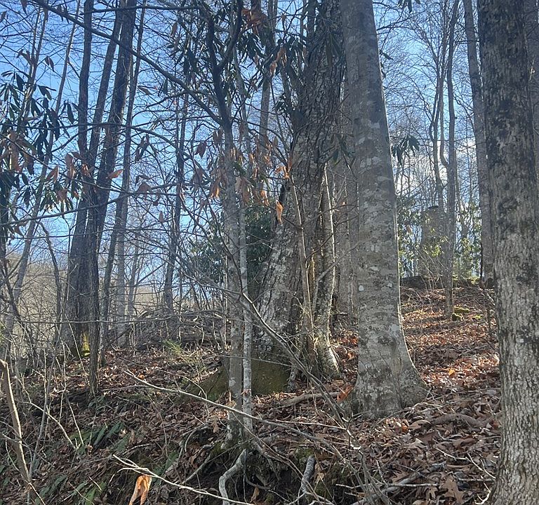 2nd image of 18 Mount Mariah Rd