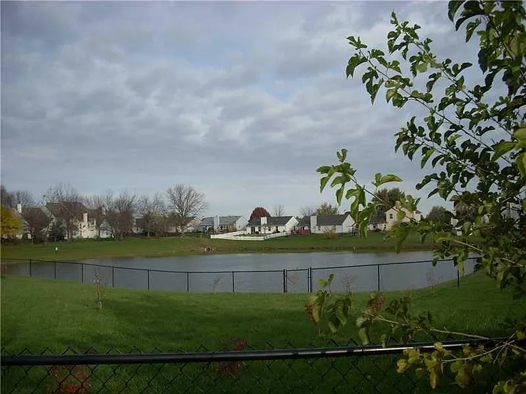 Pond view