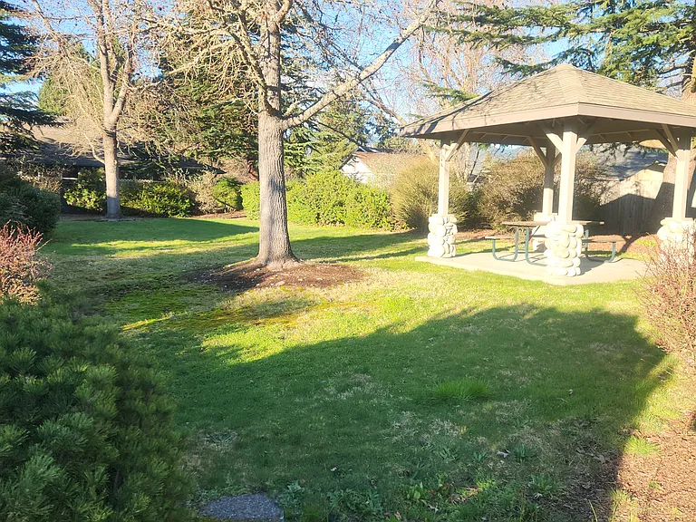 Nice HOA common area with gazebo.