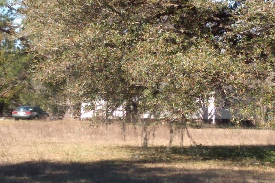 1st image of 401 E Osprey Ln