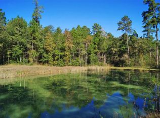 23521 Sharp Rd, Montgomery, TX 77356