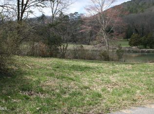 Leaf Springs Rd, Blaine, TN 37709